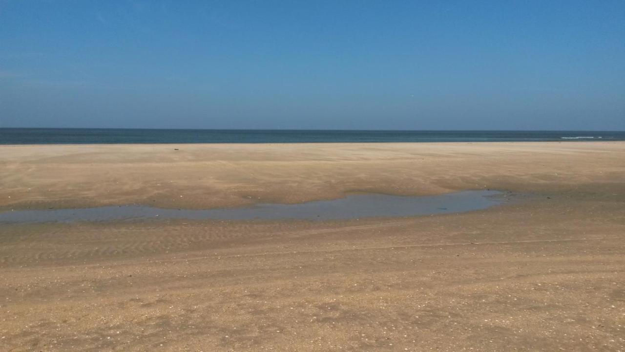 Vitamin Sea Heemskerk Exterior foto